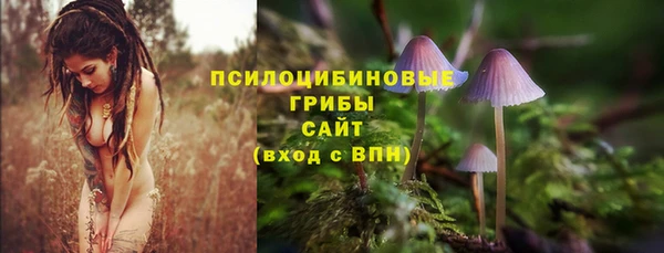 бутират Арсеньев