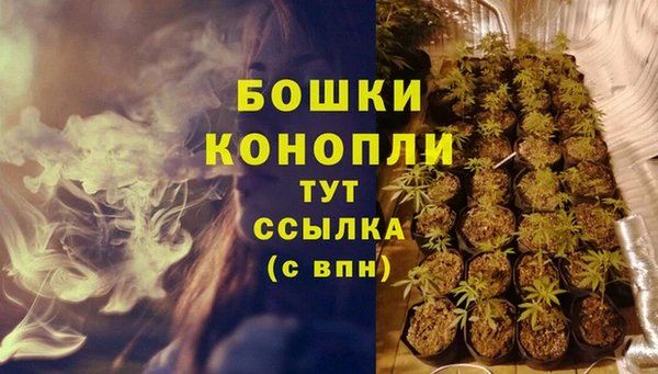 гидра Аркадак