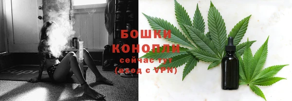 гидра Аркадак