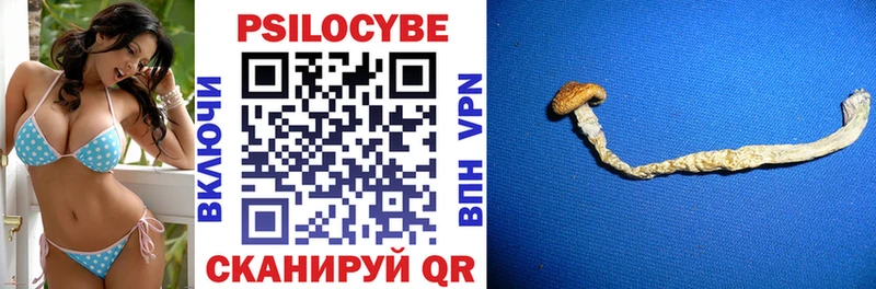 Псилоцибиновые грибы Psilocybe  Ярцево 